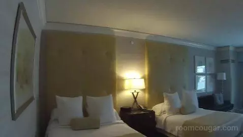 Augustus Strip View, 2 Queens bed picture #1