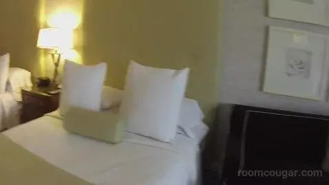 Augustus Strip View, 2 Queens bed picture #5