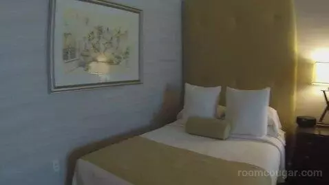 Augustus Strip View, 2 Queens bed picture #7