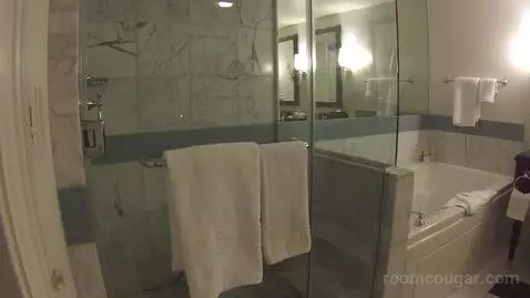 Augustus Strip View, 2 Queens bathroom picture #1