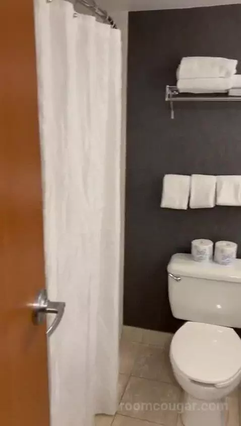 American Fallsview Corner Suite (#2257) bathroom picture #1