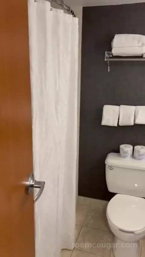 American Fallsview Corner Suite (#2257) bathroom picture #2