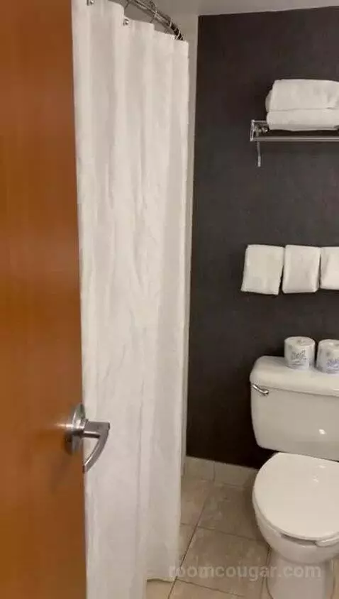American Fallsview Corner Suite (#2257) bathroom picture #3