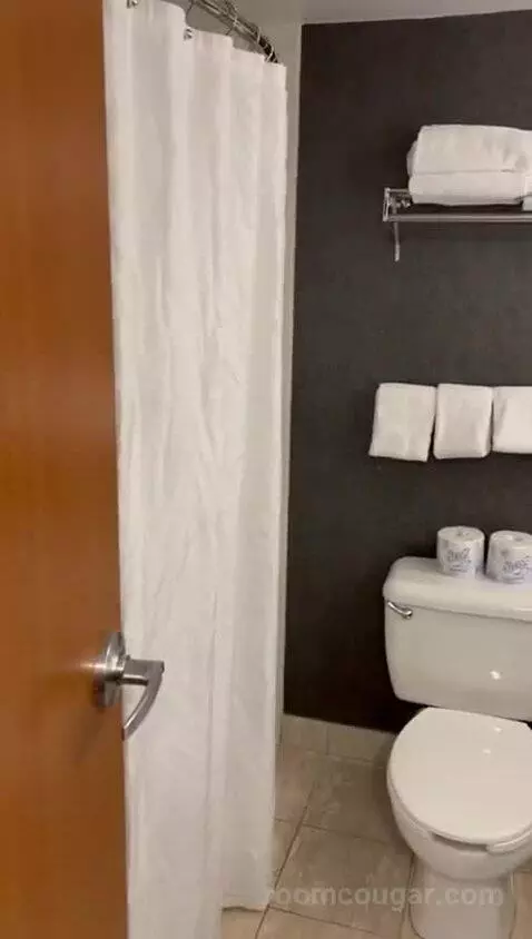 American Fallsview Corner Suite (#2257) bathroom picture #4