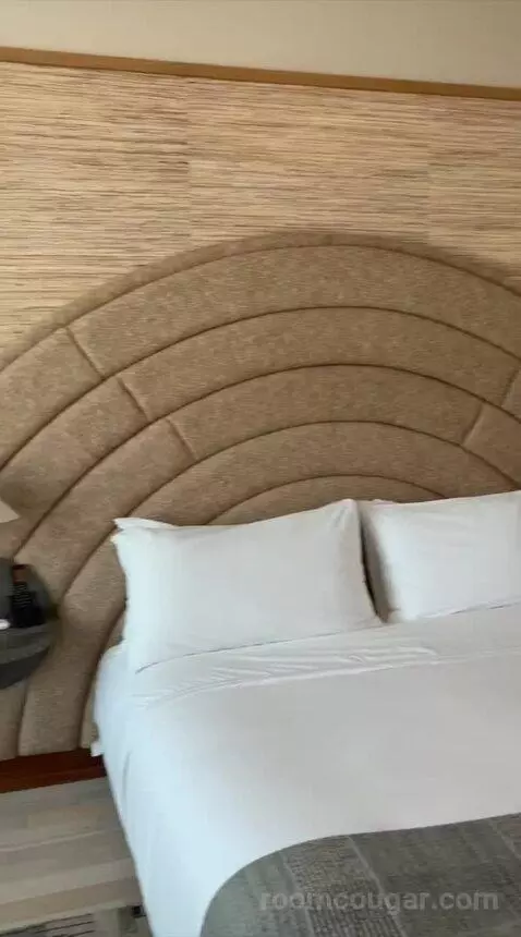 Deluxe King Room - Mobility Accessible (#345) bed picture #9