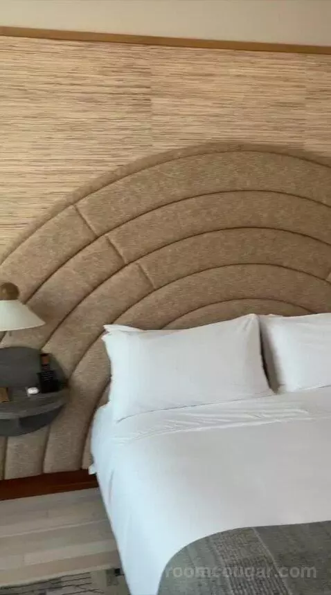 Deluxe King Room - Mobility Accessible (#345) bed picture #10