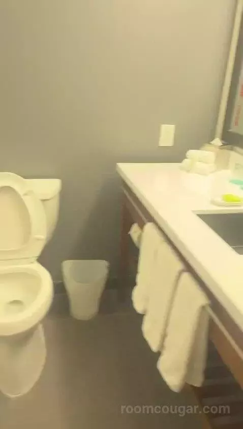 Classic Room, Guest Room, 1 King bathroom picture #1