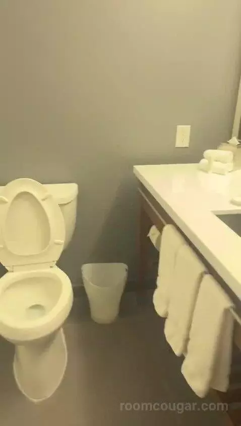 Classic Room, Guest Room, 1 King bathroom picture #2