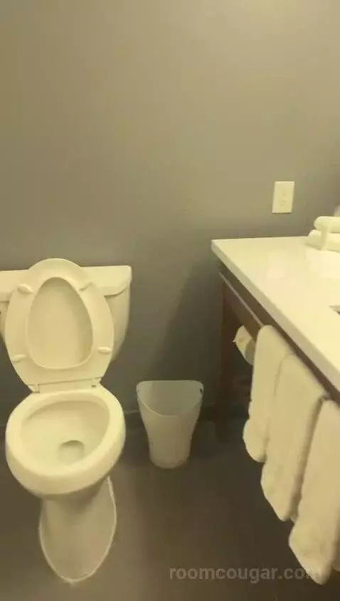Classic Room, Guest Room, 1 King bathroom picture #3