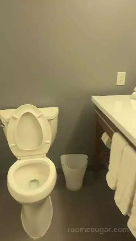 Classic Room, Guest Room, 1 King bathroom picture #4
