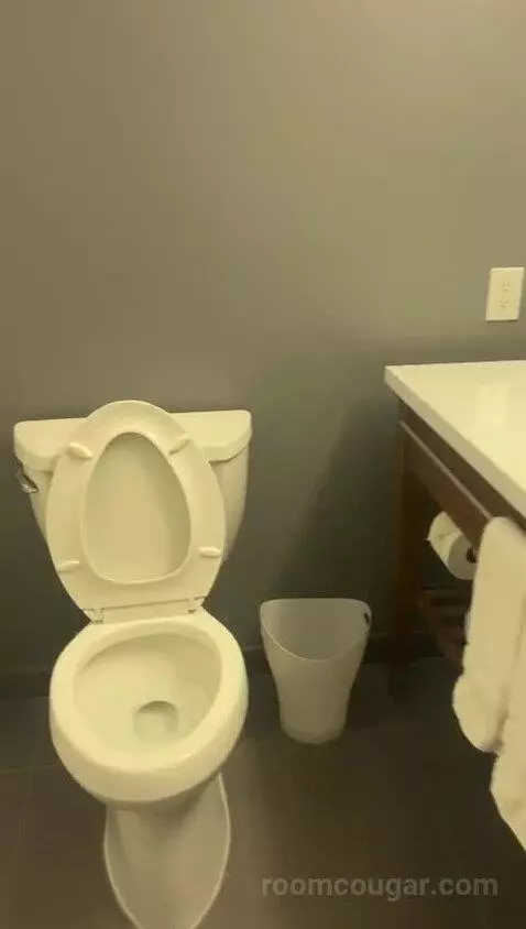 Classic Room, Guest Room, 1 King bathroom picture #5