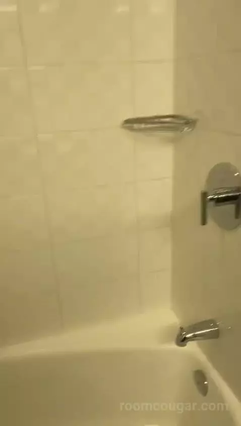Classic Room, Guest Room, 1 King bathroom picture #11