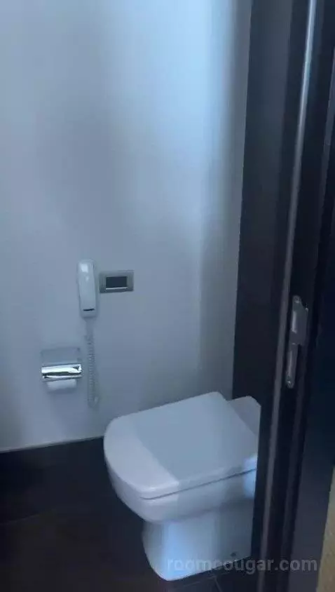 Junior Suite bathroom picture #8