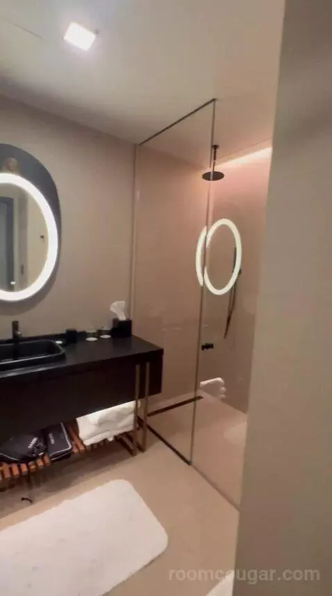 Junior Suite bathroom picture #1