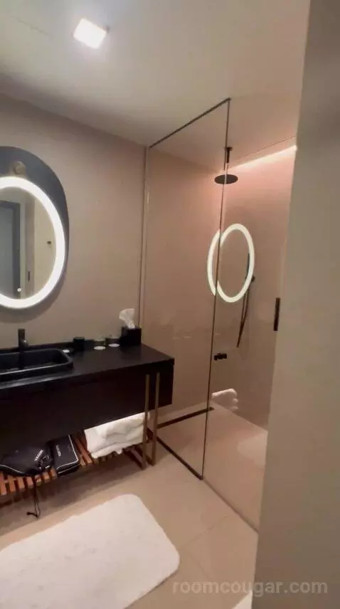 Junior Suite bathroom picture #2