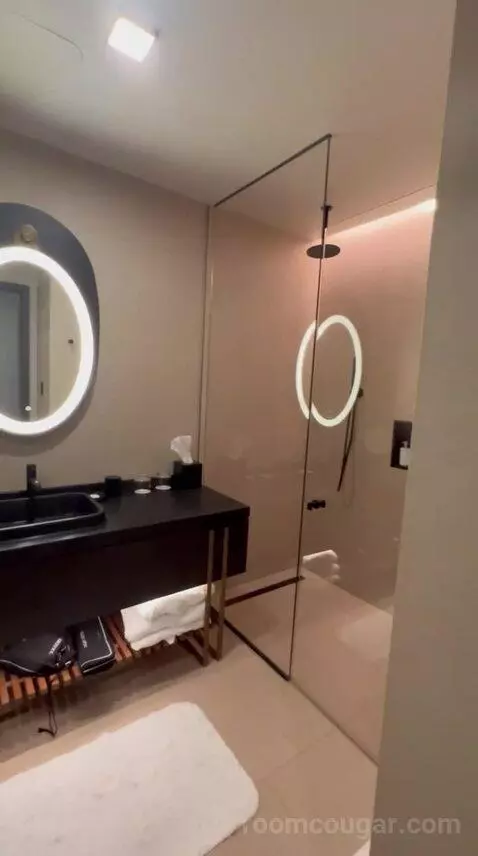 Junior Suite bathroom picture #3