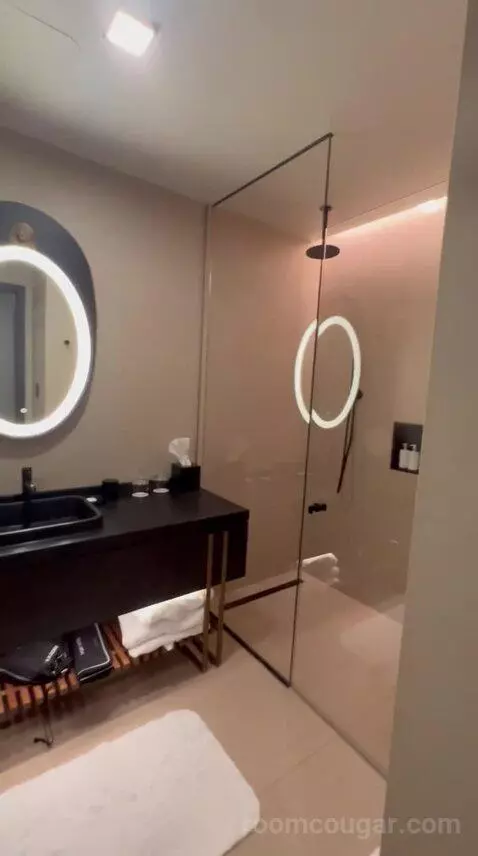 Junior Suite bathroom picture #4