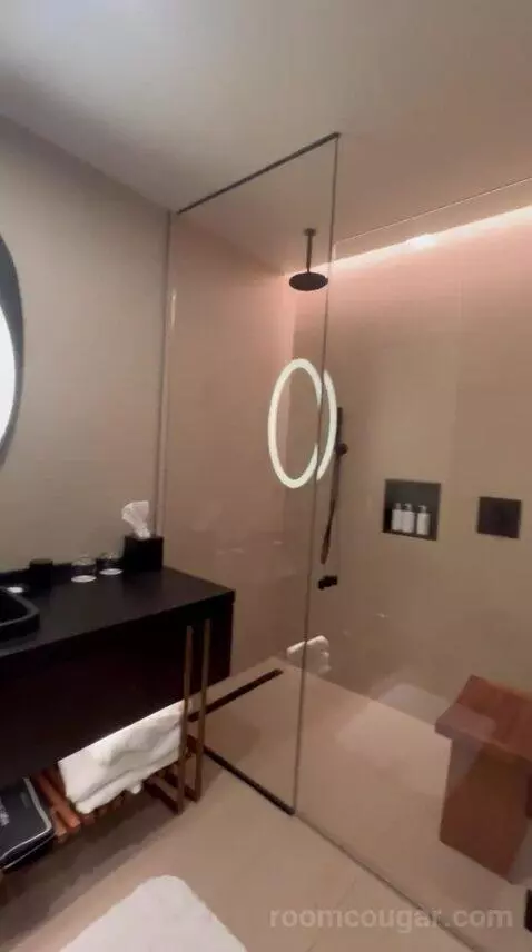 Junior Suite bathroom picture #5