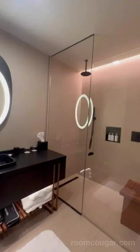 Junior Suite bathroom picture #6