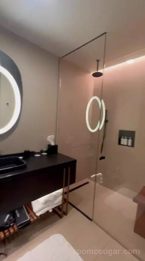 Junior Suite bathroom picture #8