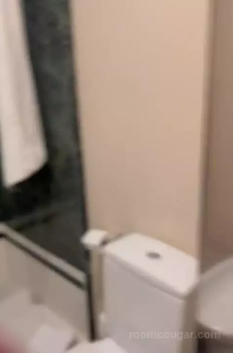 Standard Queen Room picture #13