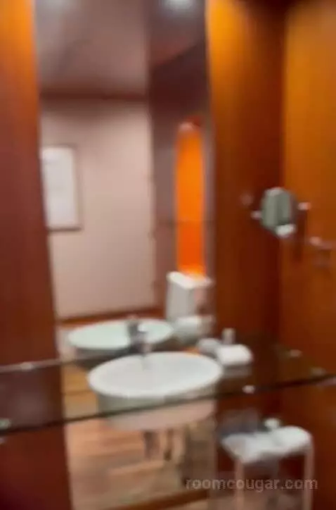 Standard Queen Room picture #15