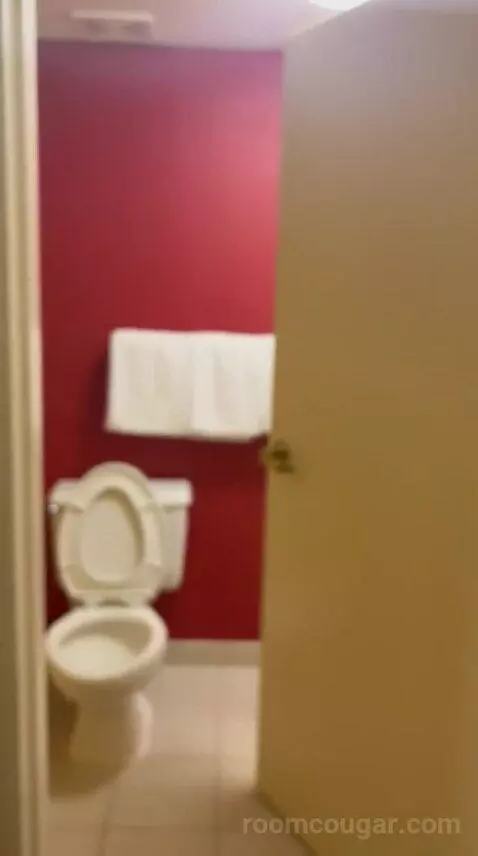 Double Room with Two Double Beds bathroom picture #2