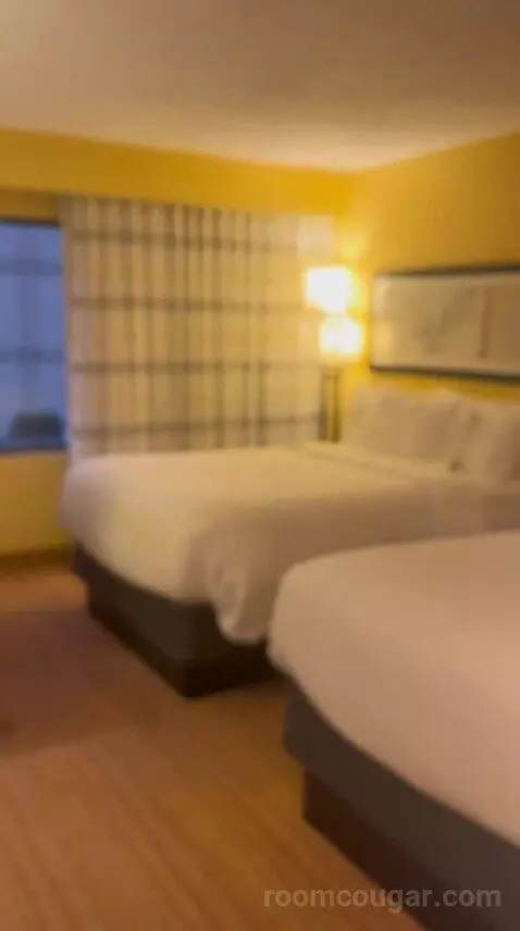 Double Room with Two Double Beds bed picture #1