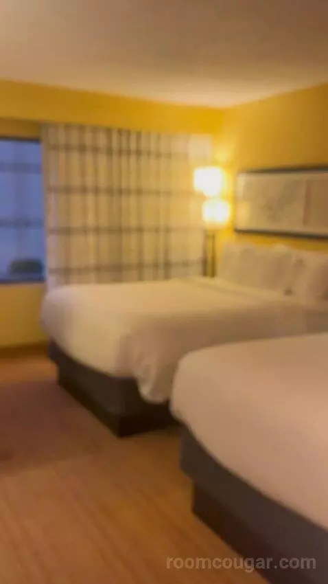 Double Room with Two Double Beds picture #8