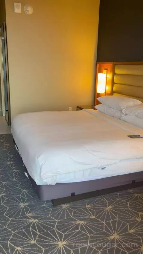 King Room with M Club Access picture #18