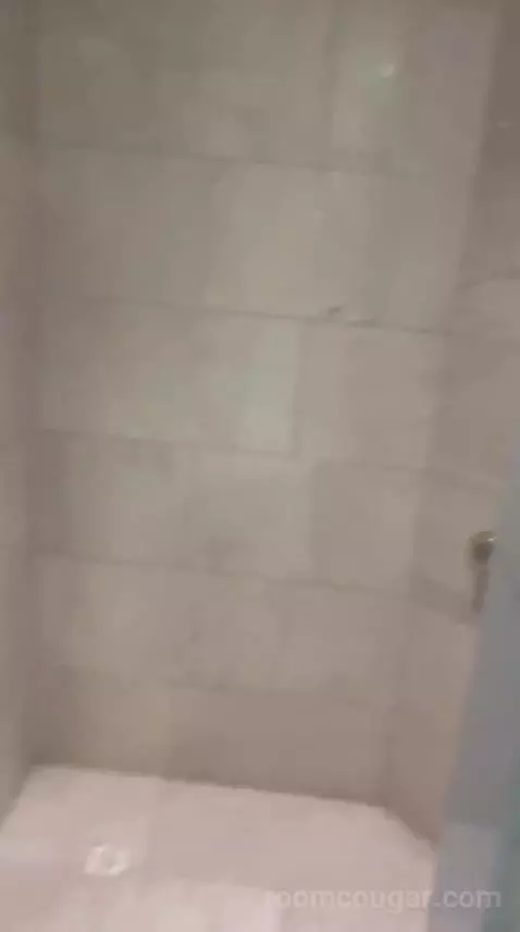 One-Bedroom King Suite with Executive bathroom picture #7