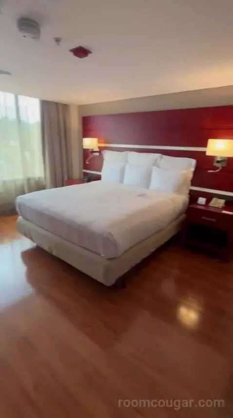 One-Bedroom King Suite with Executive bed picture #2