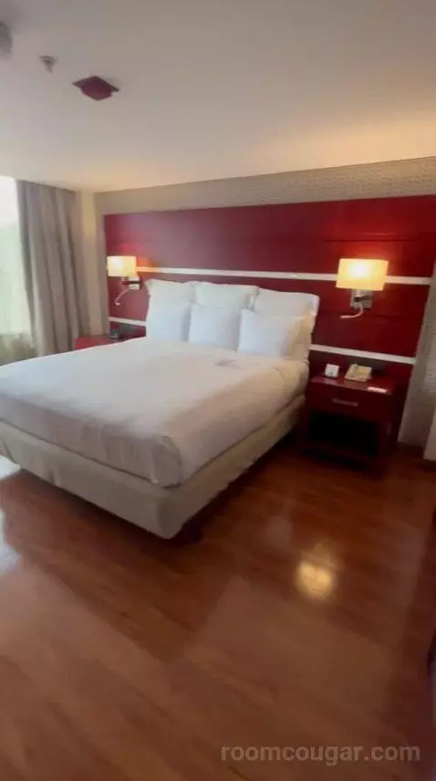 One-Bedroom King Suite with Executive bed picture #4