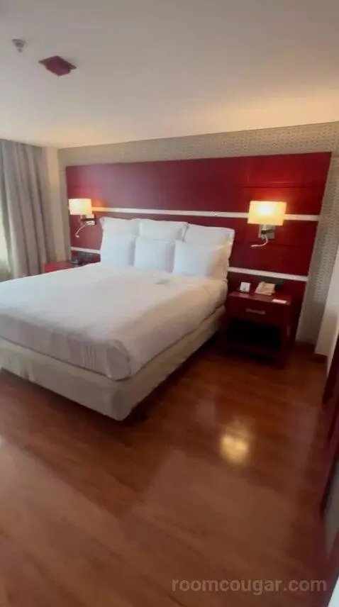 One-Bedroom King Suite with Executive bed picture #5