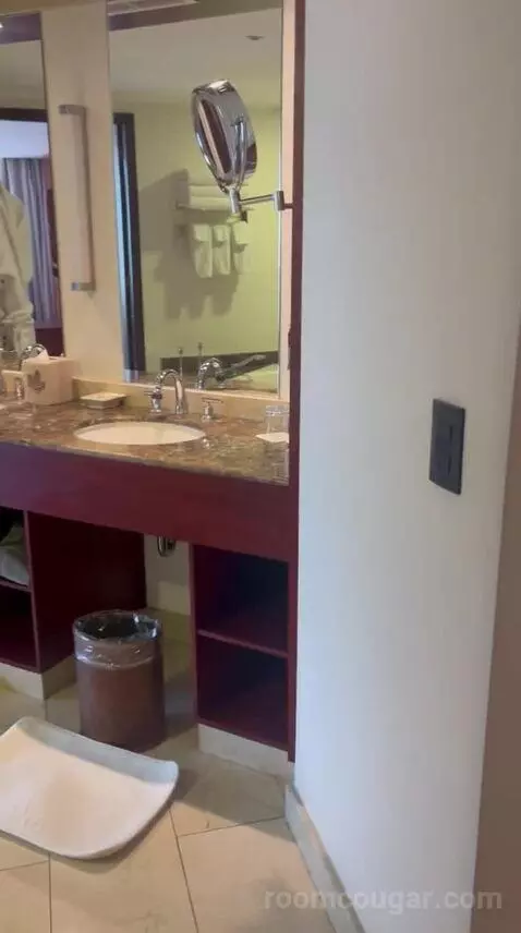 One-Bedroom King Suite with Executive bathroom picture #1
