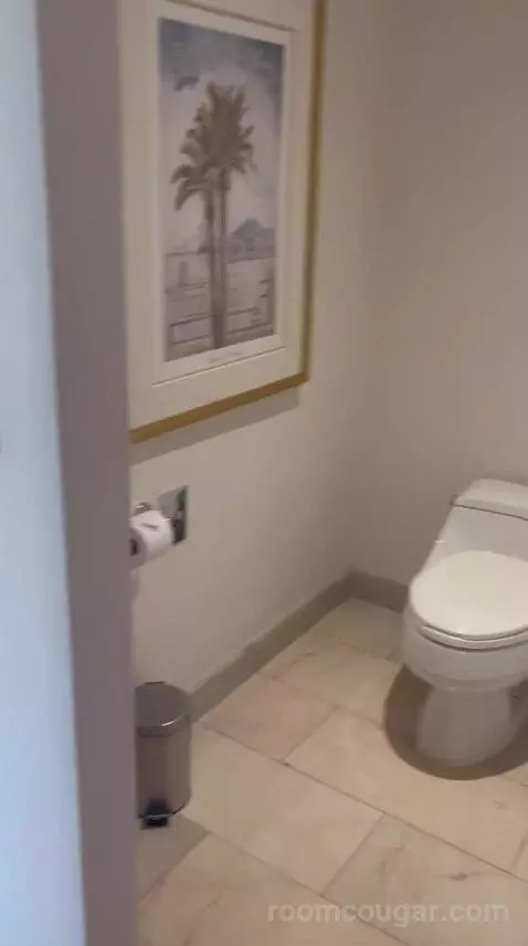 One-Bedroom King Suite with Executive bathroom picture #2
