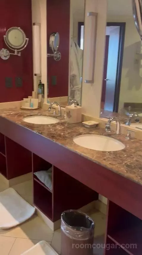 One-Bedroom King Suite with Executive bathroom picture #3