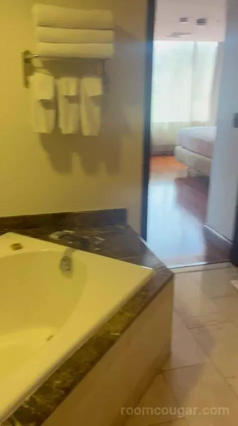 One-Bedroom King Suite with Executive bathroom picture #4