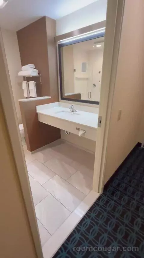 King Suite (#600) bathroom picture #9