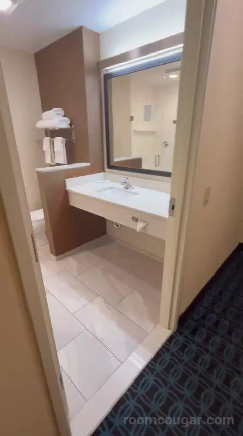King Suite (#600) bathroom picture #10