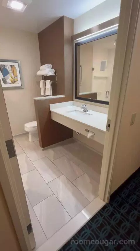 King Suite (#600) bathroom picture #11