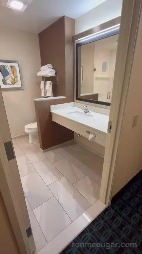 King Suite (#600) bathroom picture #12
