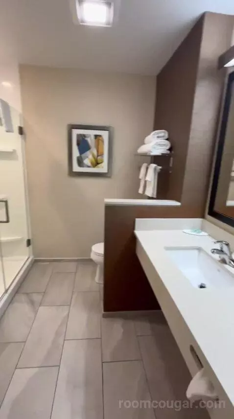 King Suite (#600) bathroom picture #1