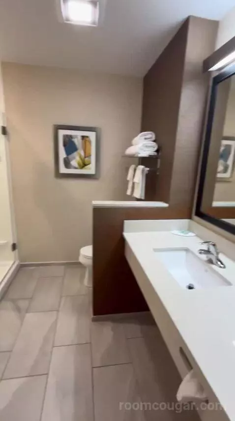 King Suite (#600) bathroom picture #2