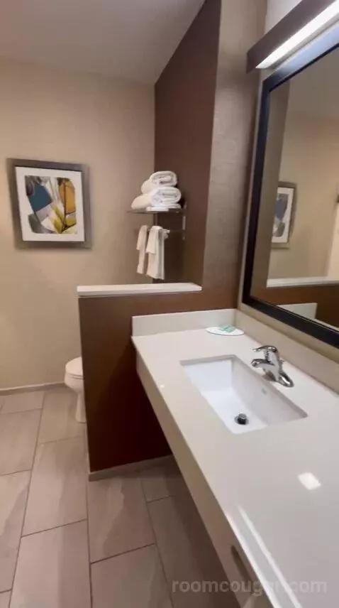 King Suite (#600) bathroom picture #3