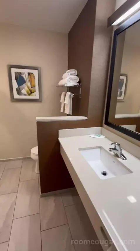 King Suite (#600) bathroom picture #4