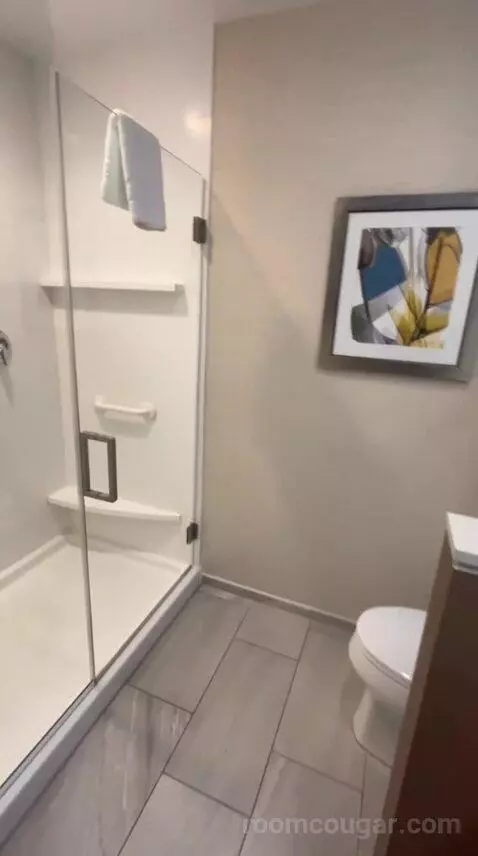King Suite (#600) bathroom picture #6