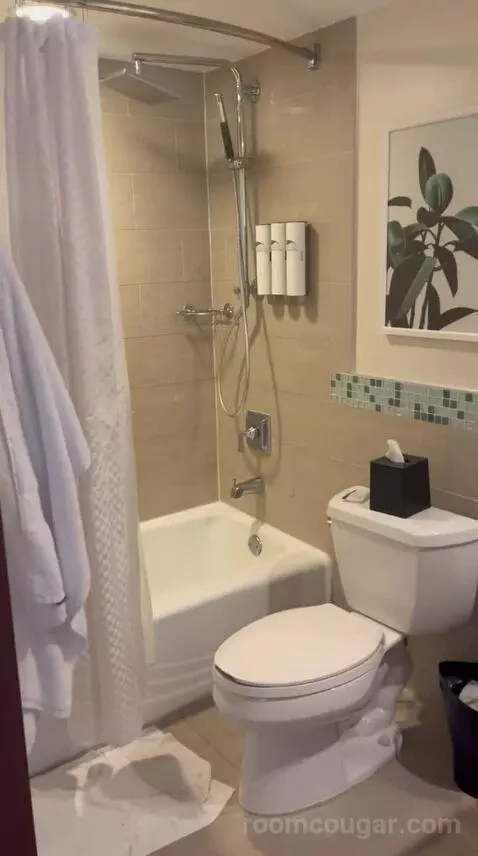 Guest Room, 2 Double, Partial Ocean View (#601) bathroom picture #10