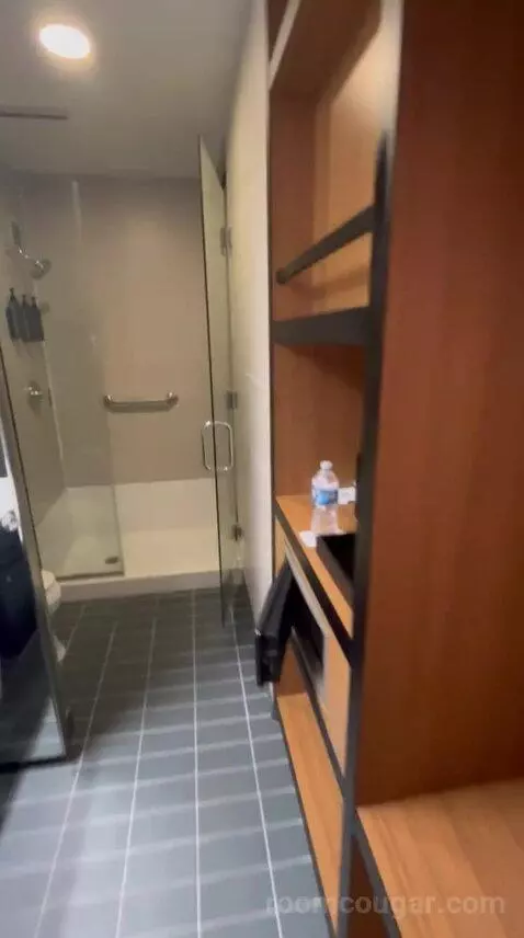 Standard King Room (#523) bathroom picture #4