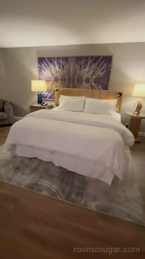 Traditional, Guest Room, 1 King (#726) bed picture #3